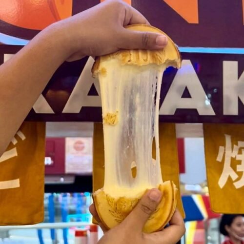 Say Cheese! Discover the Ooey-Gooey Delight of Boncoin Mozzarella 🧀✨
