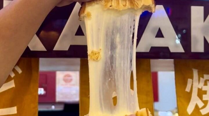Say Cheese! Discover the Ooey-Gooey Delight of Boncoin Mozzarella 🧀✨